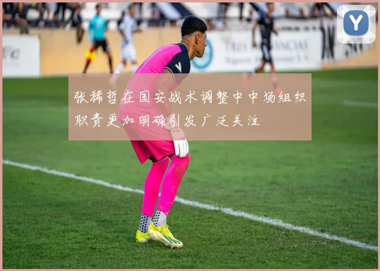 张稀哲在国安战术调整中中场组织职责更加明确引发广泛关注